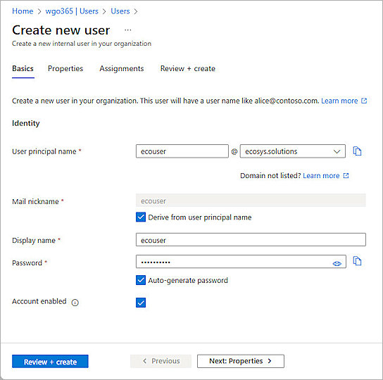 Screenshot of Entra ID, Azure new user setup 1